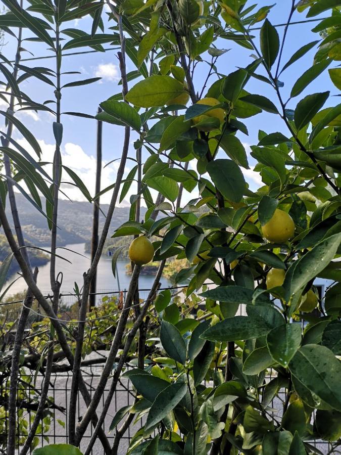São PedroCasa De Boucas别墅 外观 照片